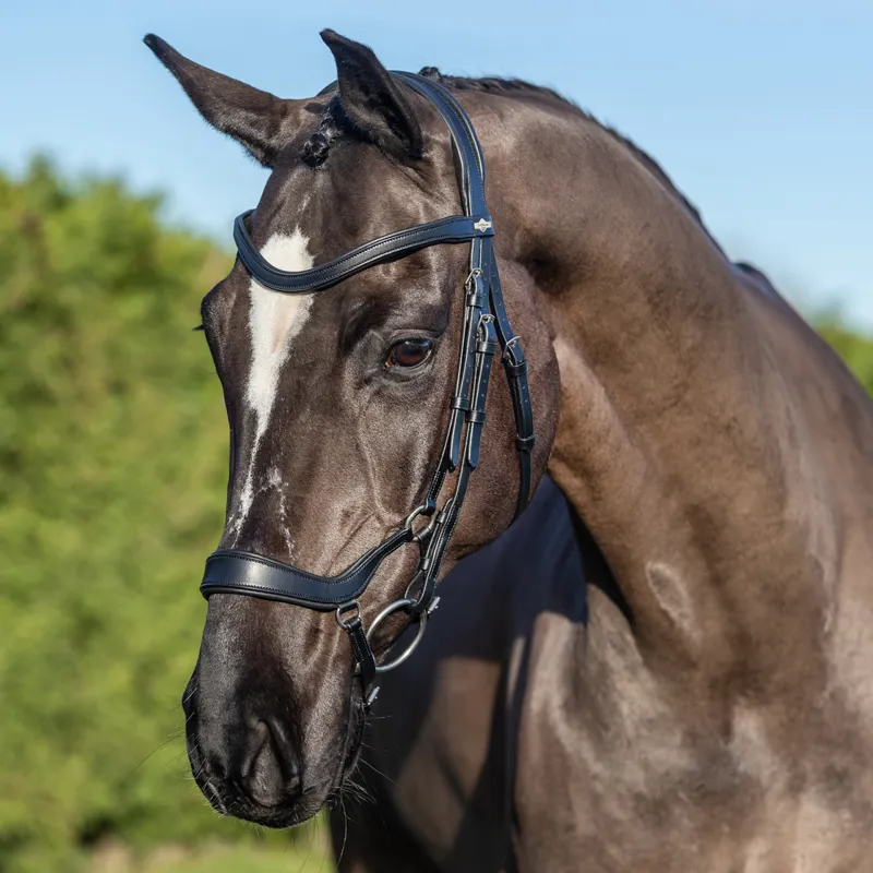 LeMieux Arika Drop Bridle - Black/Silver-1