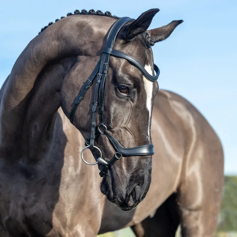 LeMieux Arika Drop Bridle - Black/Silver-2