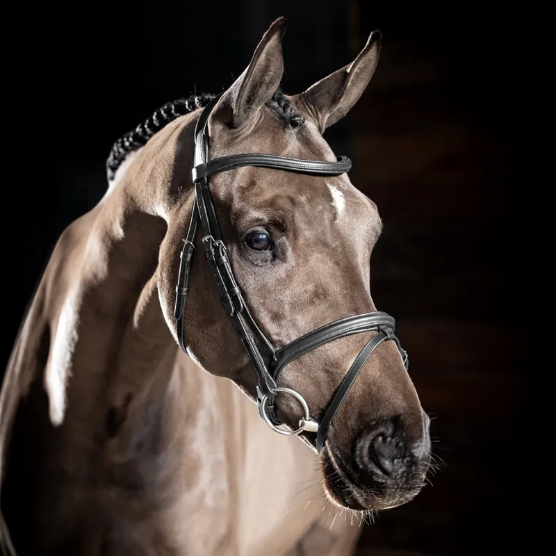 LeMieux Arika Flash Bridle - Black/Silver-1