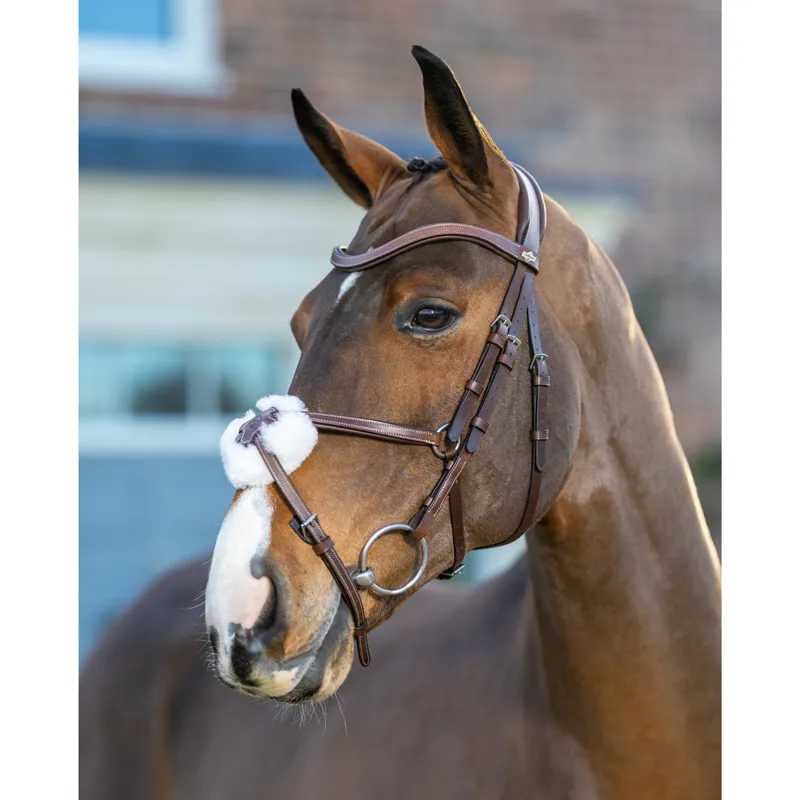 LeMieux Arika Grackle Bridle - Havana/Silver-2