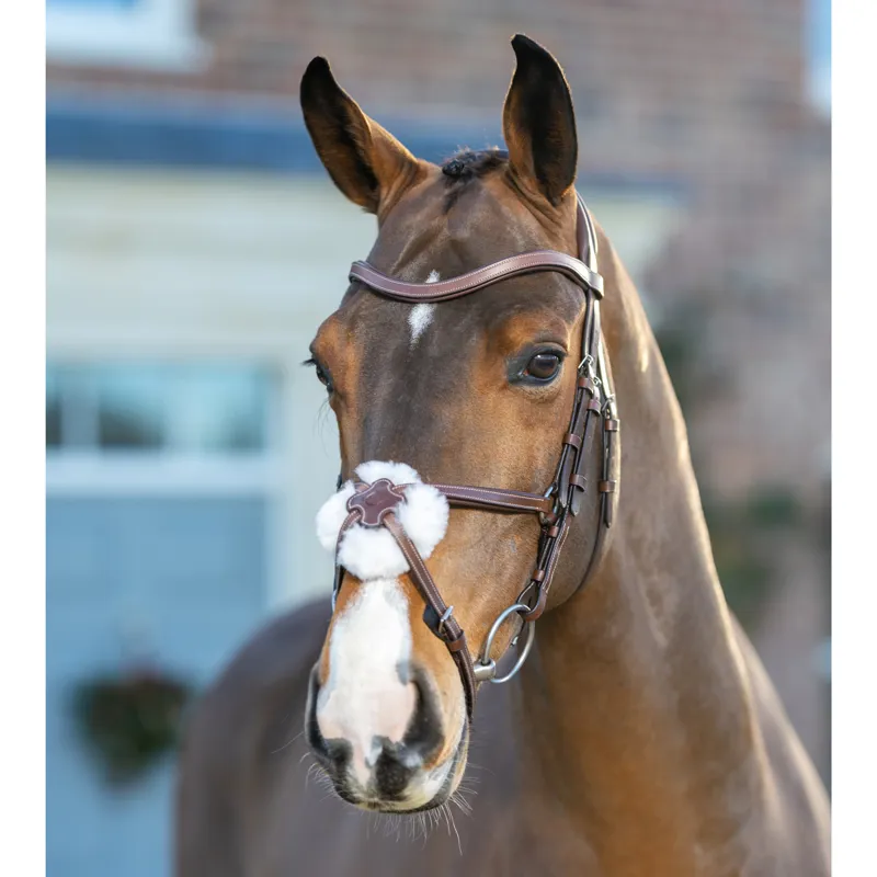 LeMieux Arika Grackle Bridle - Havana/Silver-1