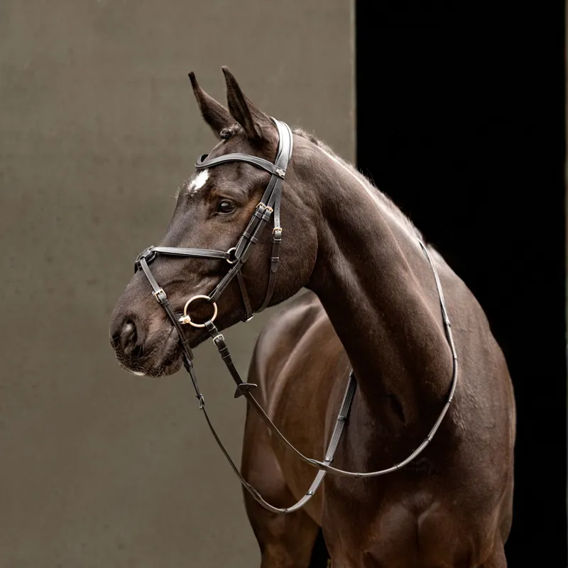 LeMieux Arika Grackle Bridle - Black/Silver-4