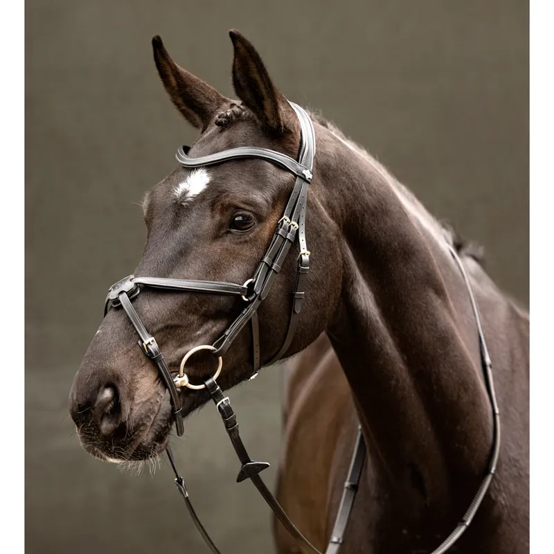 LeMieux Arika Grackle Bridle - Black/Silver-2
