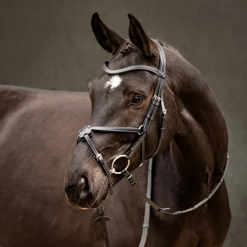 LeMieux Arika Grackle Bridle - Black/Silver-1