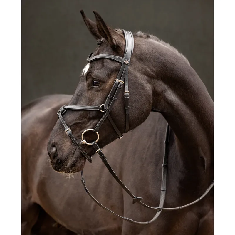 LeMieux Arika Grackle Bridle - Black/Silver-3