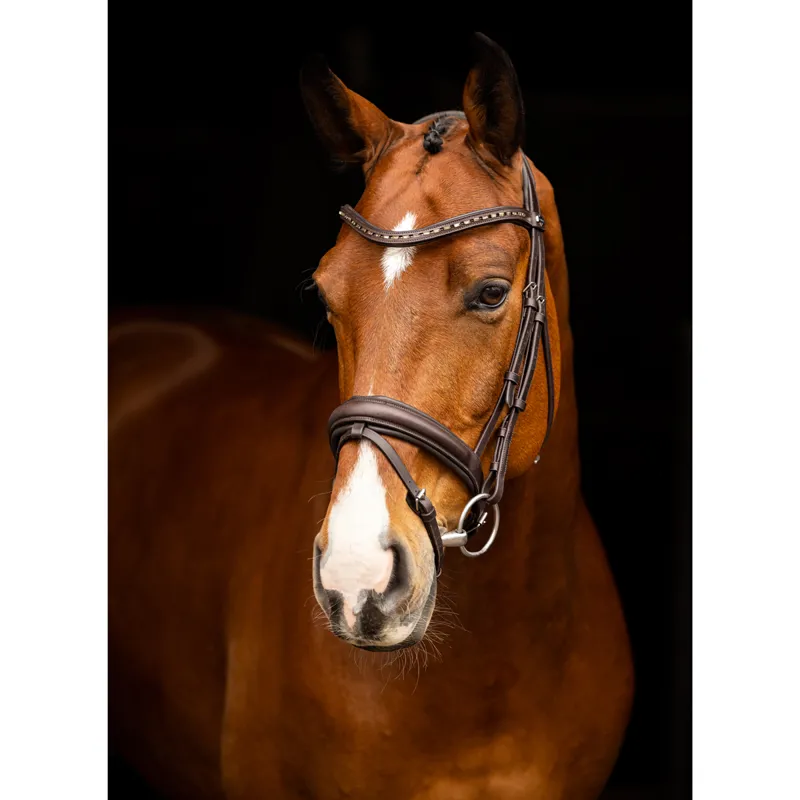 LeMieux Arika Dressage Bridle - Brown/Silver-1