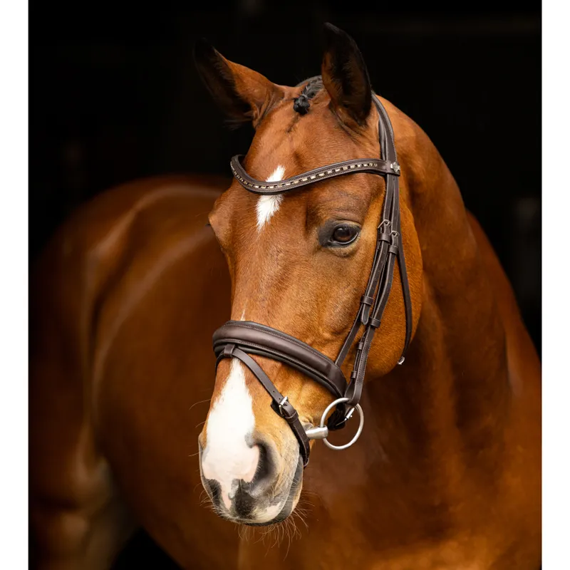 LeMieux Arika Dressage Bridle - Brown/Silver-2