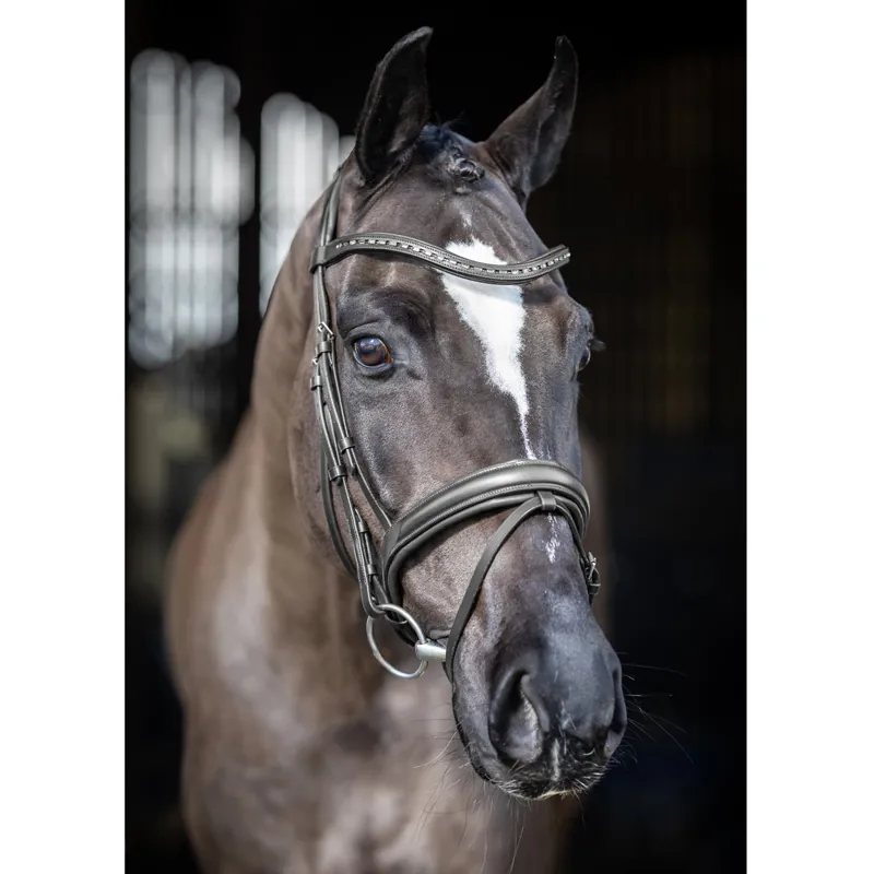 LeMieux Arika Dressage Bridle - Black/Silver-2