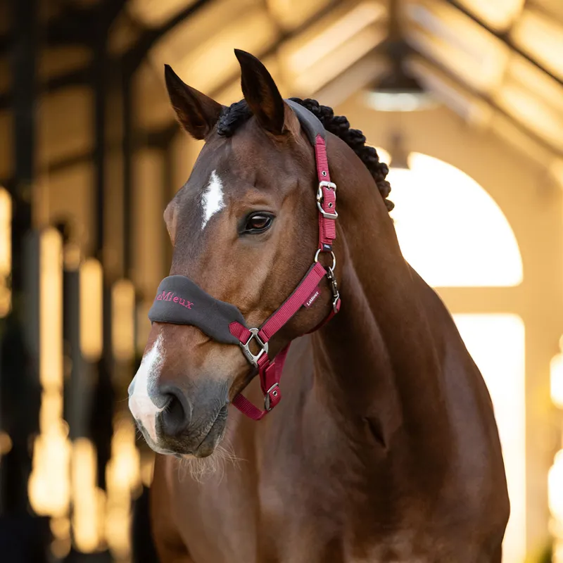 LeMieux Vogue Headcollar and Lead Rope Set - Ember-1