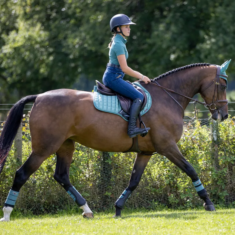 LeMieux Loire Fly Hood - Sage-3