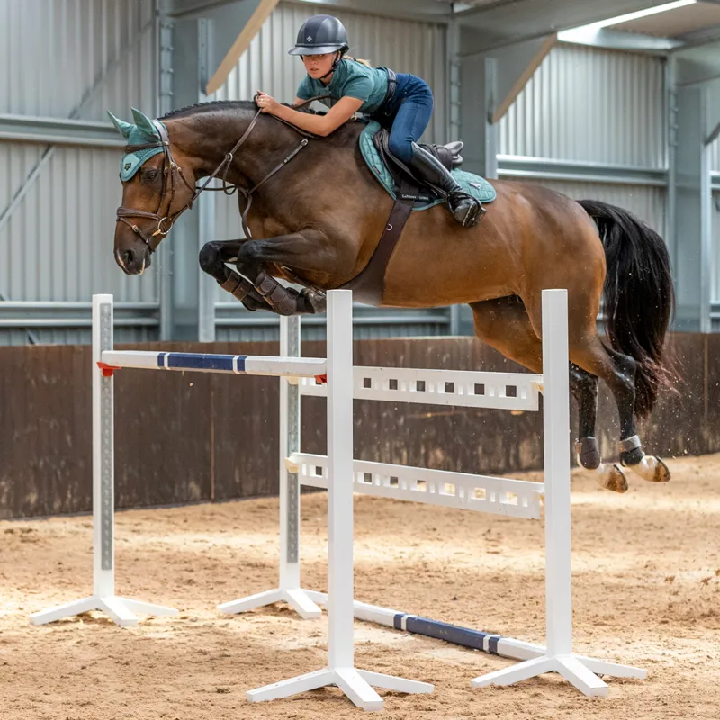 LeMieux Loire Fly Hood - Sage-4