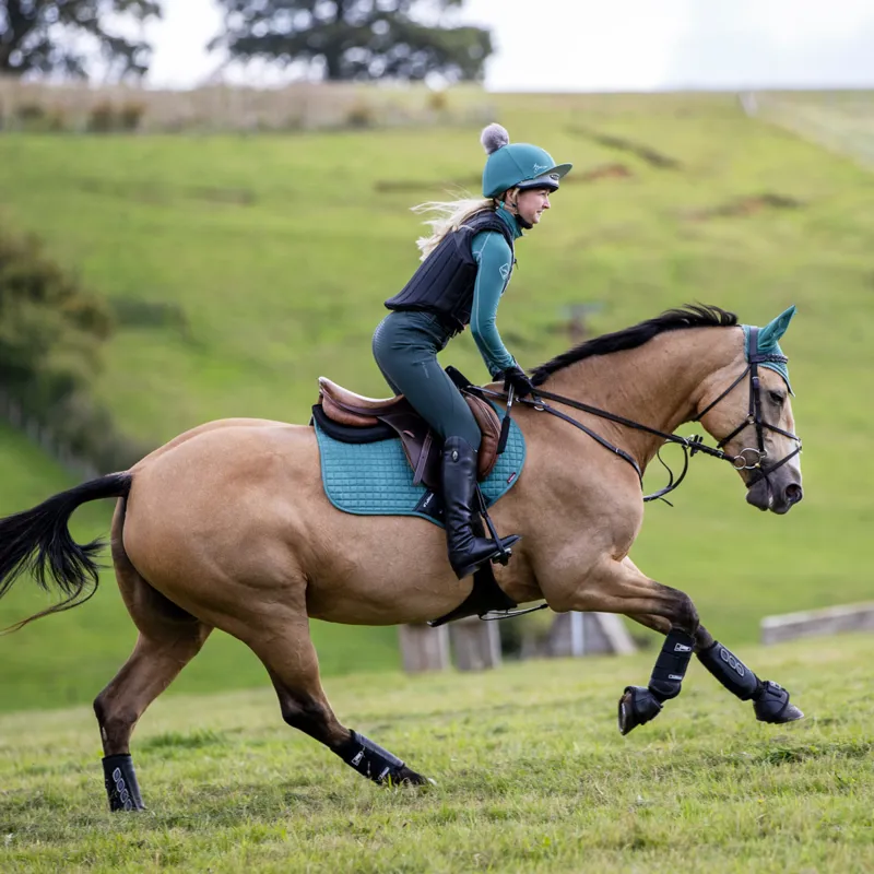 LeMieux Classic Fly Hood - Sage-6