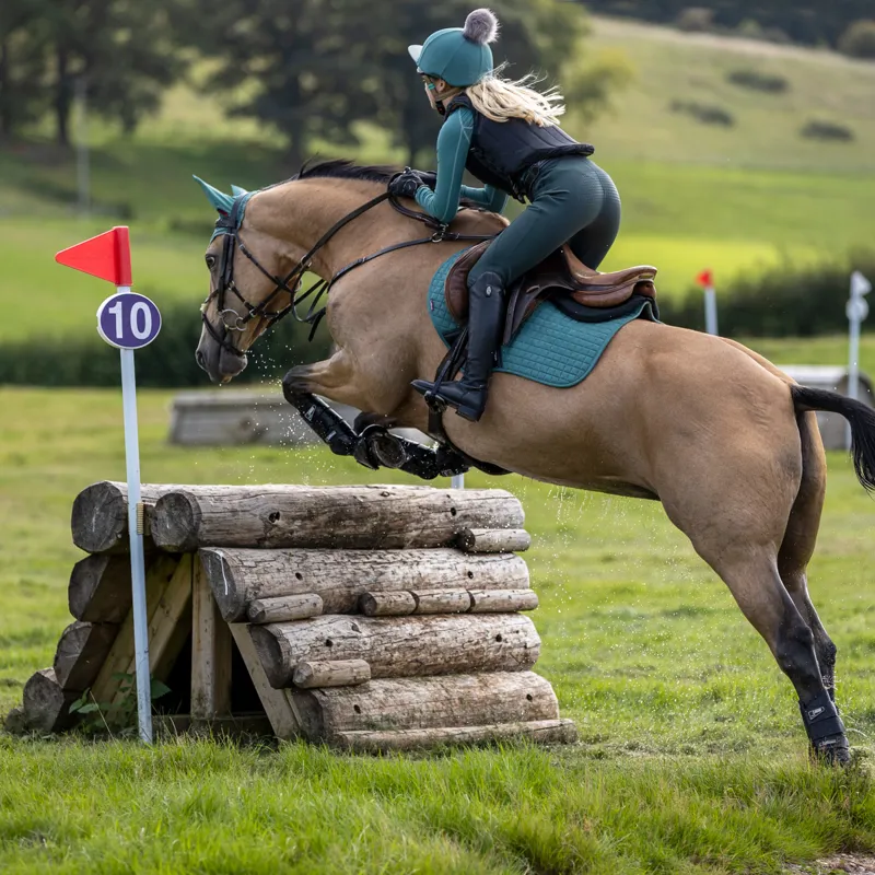 LeMieux Classic Fly Hood - Sage-8