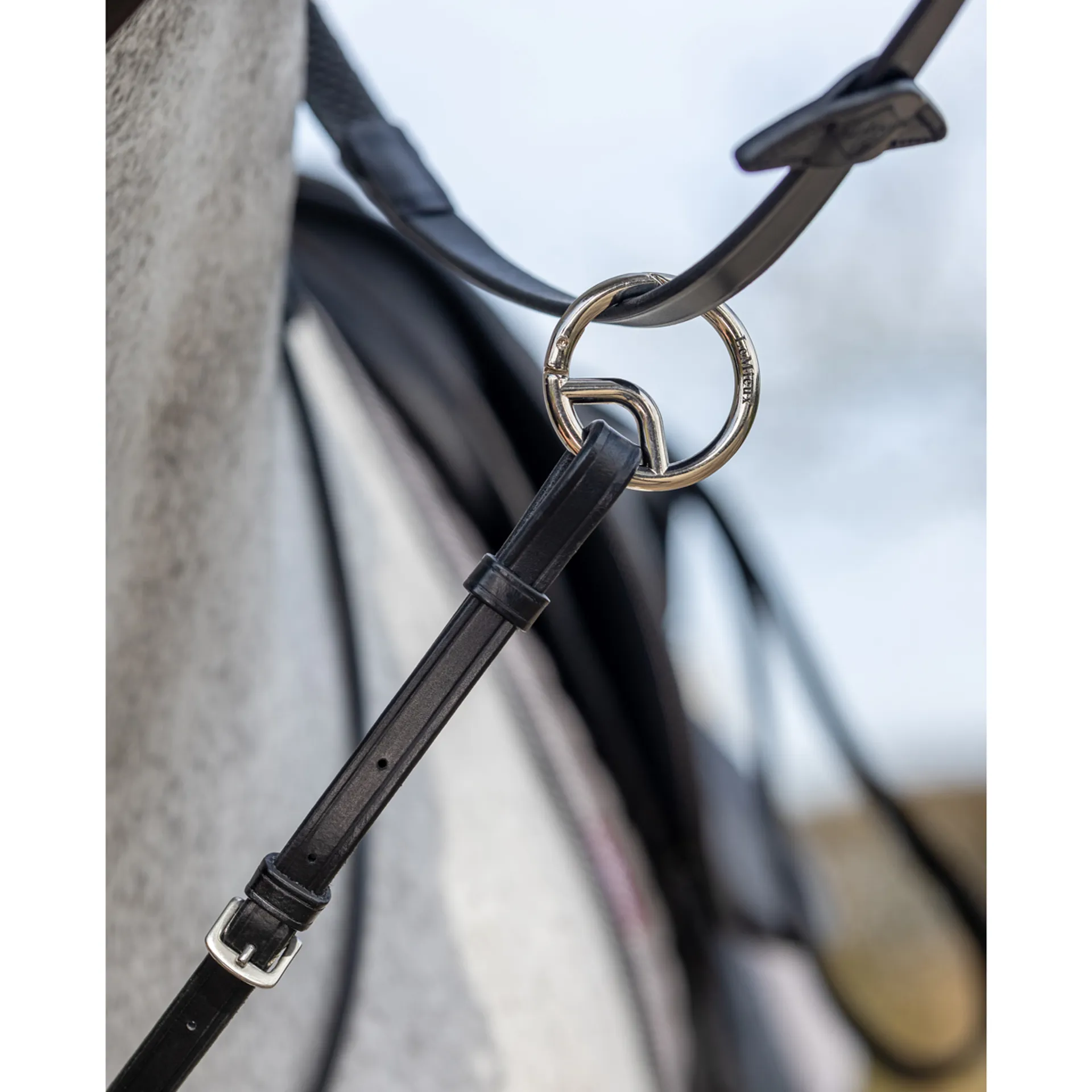 Seconde vie - Martingale pour cheval élastique LeMieux LEMIEUX | Decathlon