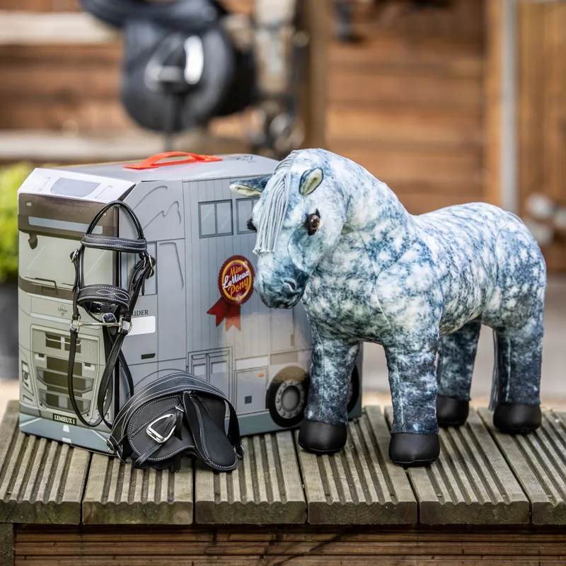 LeMieux Mini Toy Pony - Sam-2