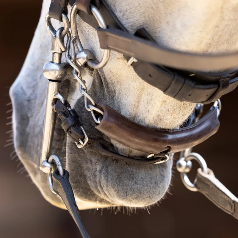 LeMieux Curb Chain Guard - Brown-1