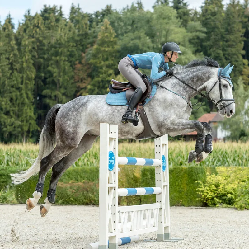 LeMieux Classic Fly Hood - Ice Blue-1