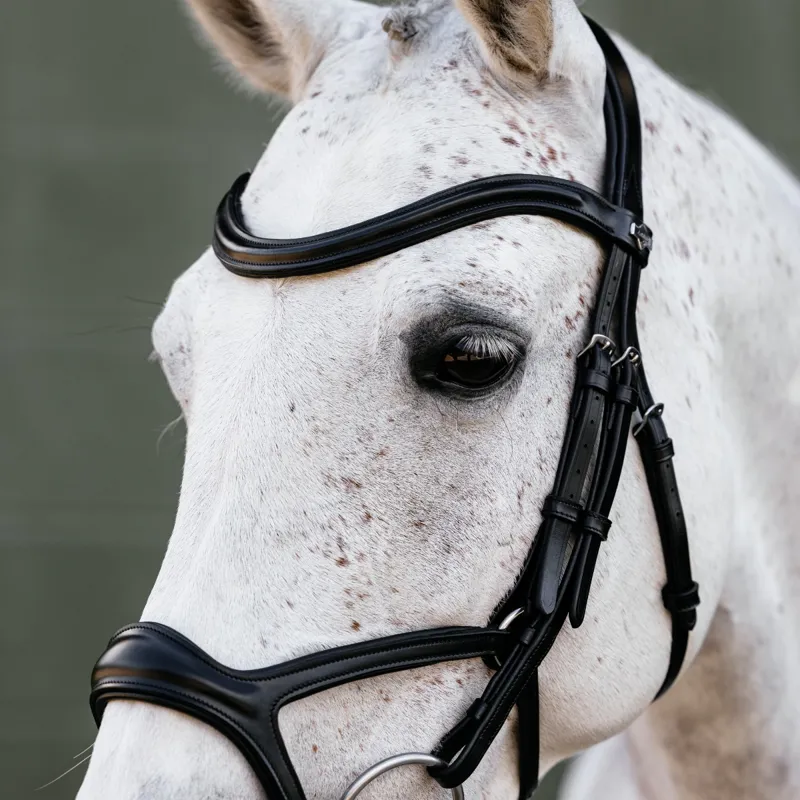 LeMieux Kudos Sport Bridle - Black-3