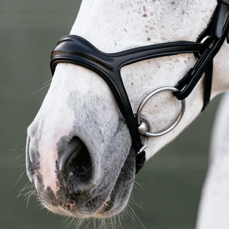 LeMieux Kudos Sport Bridle - Black-2