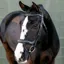 LeMieux Arika Split Noseband Bridle - Black