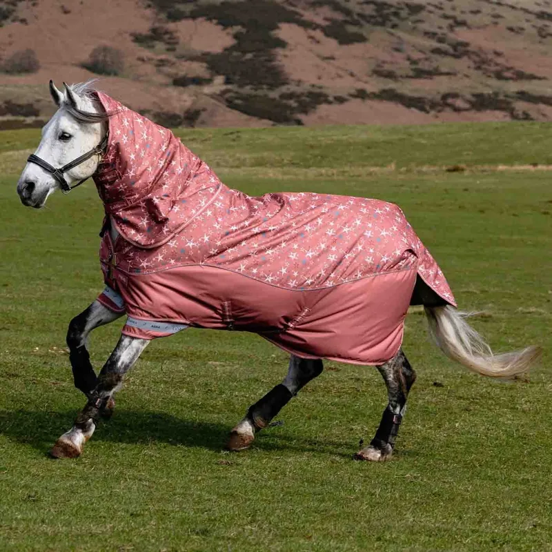 LeMieux Arika Star Detachable Neck 0g Turnout Rug - Spiced Earth Pre-Order-4