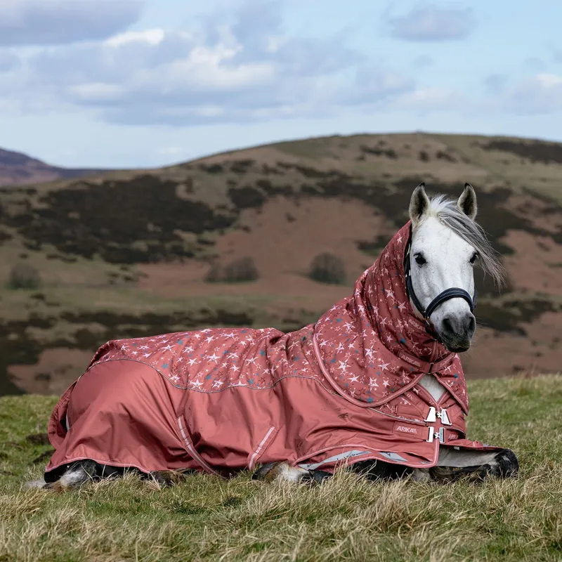 LeMieux Arika Star Detachable Neck 0g Turnout Rug - Spiced Earth Pre-Order-1