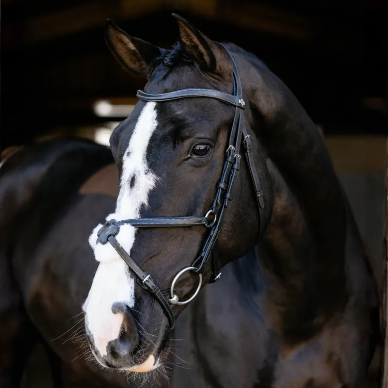 LeMieux Arika Grackle Bridle - Black/Silver-4