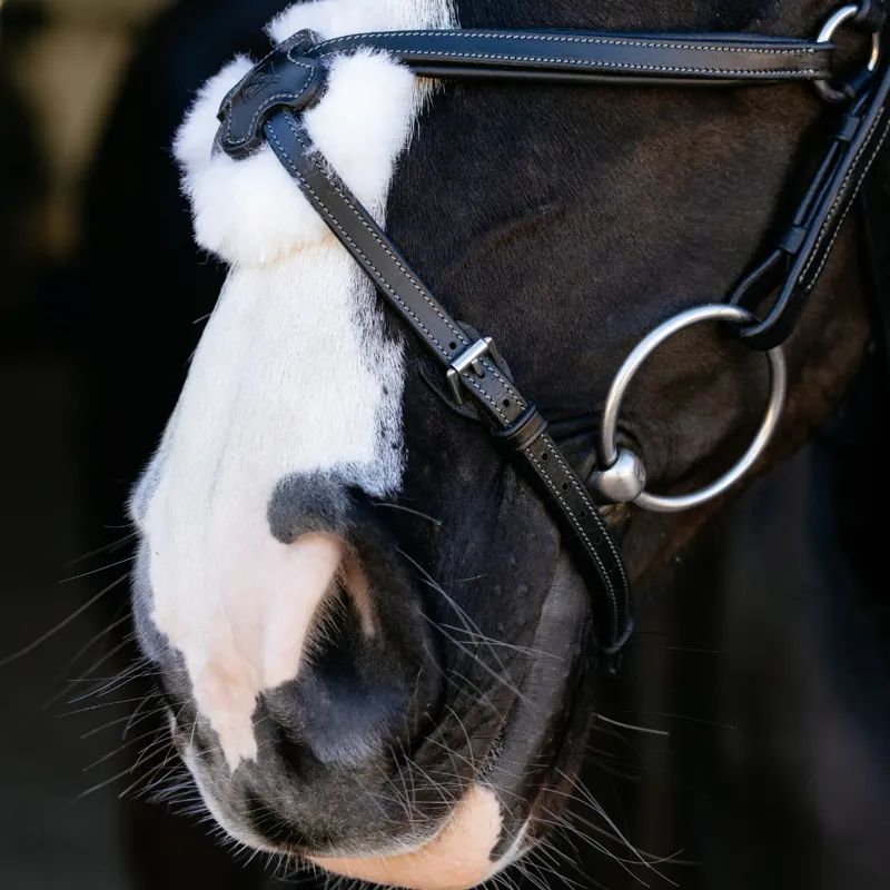 LeMieux Arika Grackle Bridle - Black/Silver-3