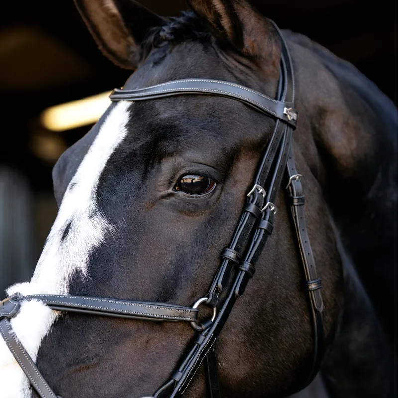 LeMieux Arika Grackle Bridle - Black/Silver-2