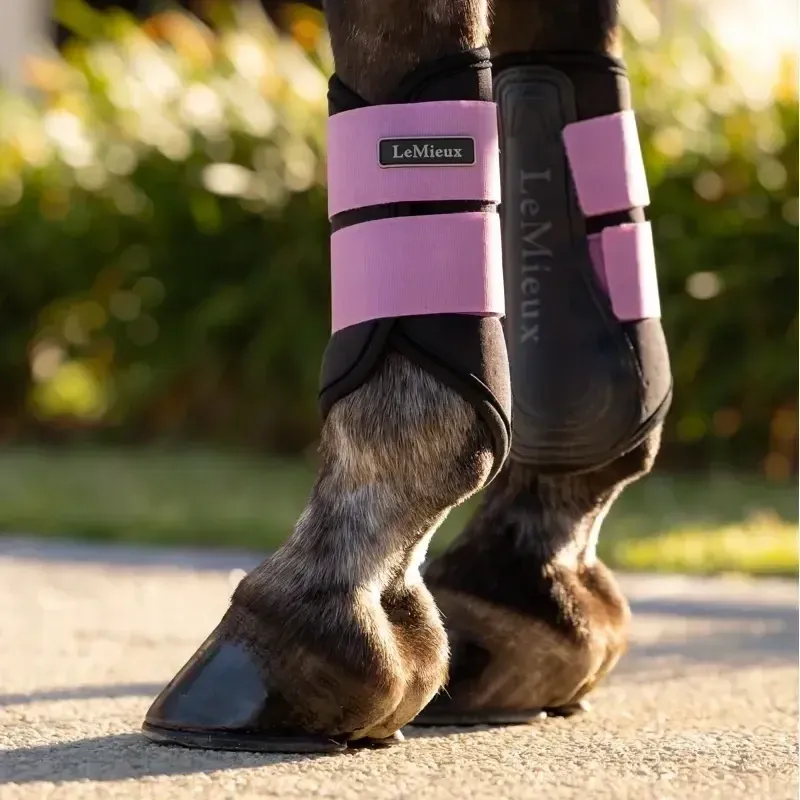 LeMieux Air-Tek Grafter Brushing Boots - Mallow-1