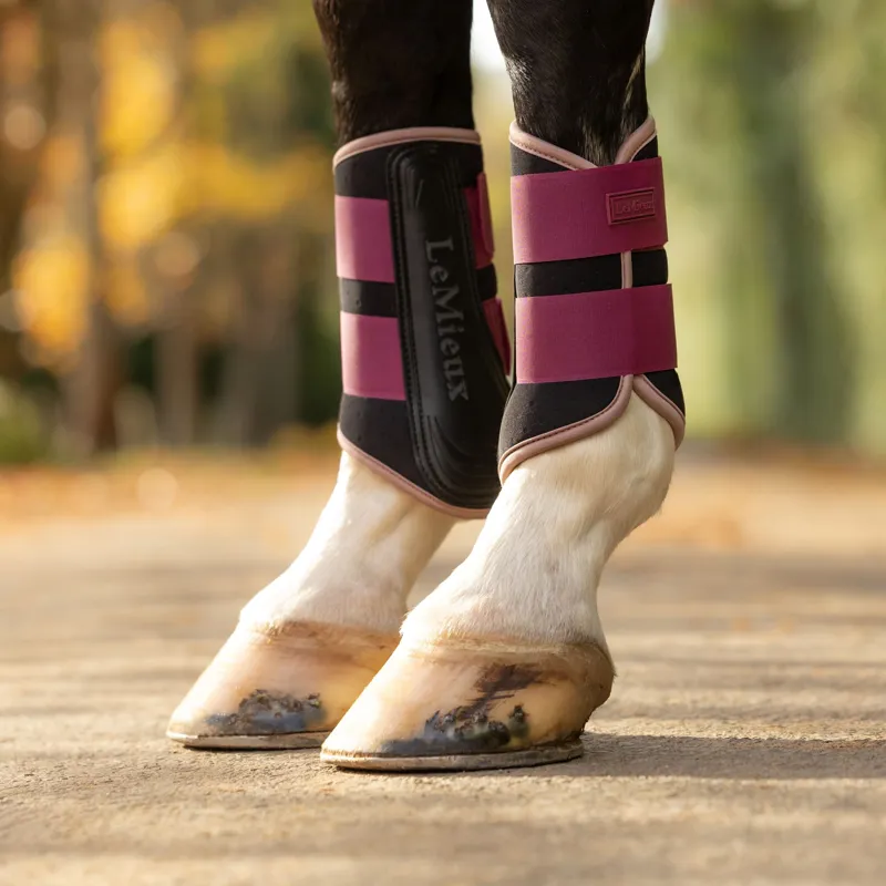 LeMieux Air-Tek Grafter Brushing Boots - Blackberry-1