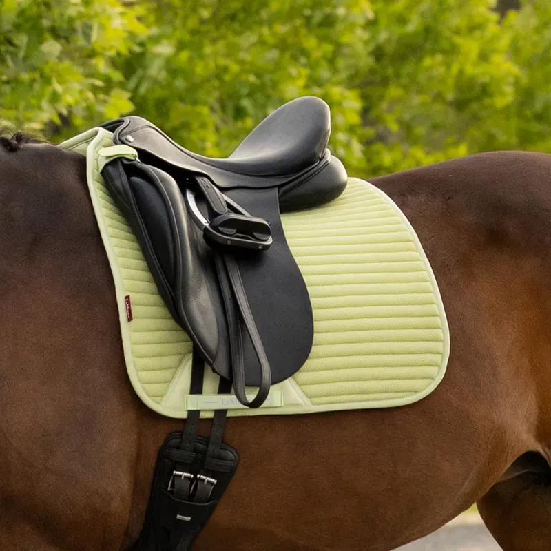 LeMieux Air-Tek Mesh Dressage Saddlecloth - Macaron-1