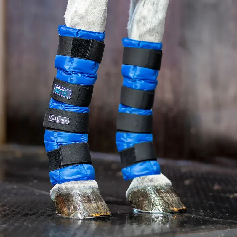 LeMieux Arctic Ice Boots - Pair - Blue