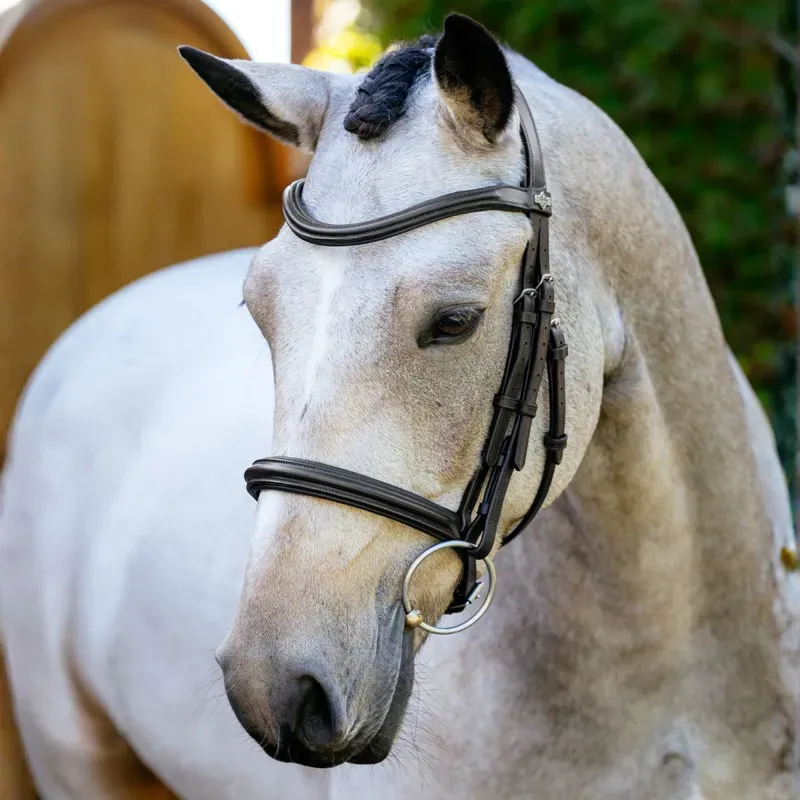 LeMieux Arika Cavesson Bridle - Brown-1