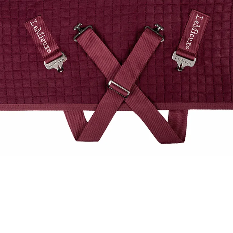 LeMieux Arika Clima-Tek Rug - Burgundy-7