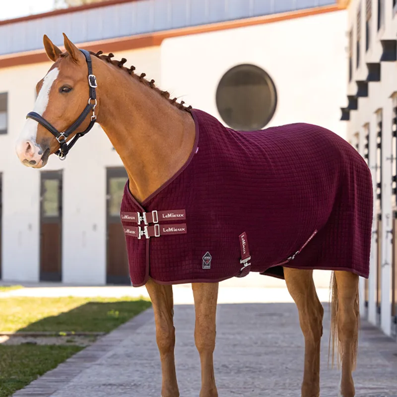 LeMieux Arika Clima-Tek Rug - Burgundy-4