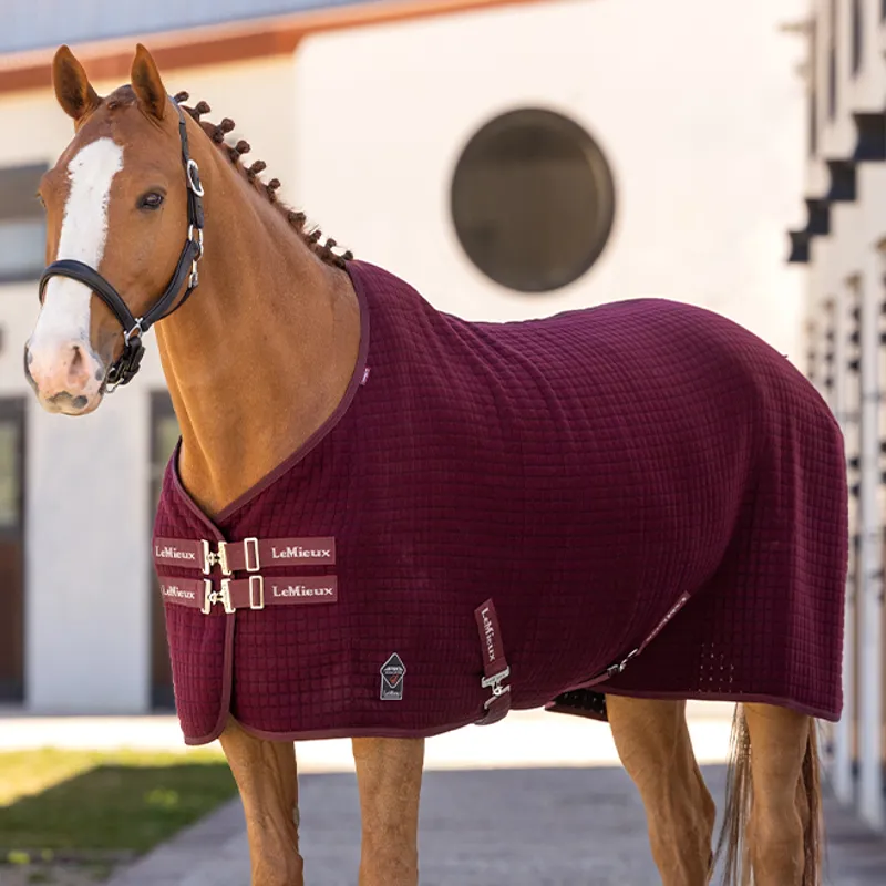 LeMieux Arika Clima-Tek Rug - Burgundy