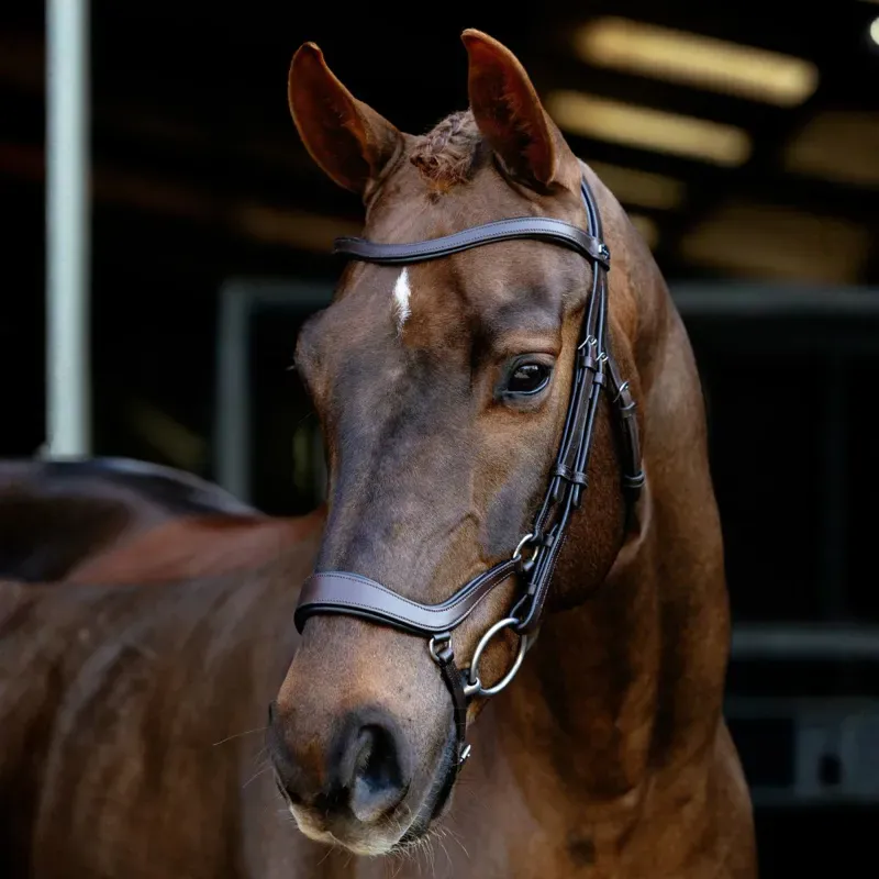 LeMieux Arika Drop Bridle - Brown/Silver