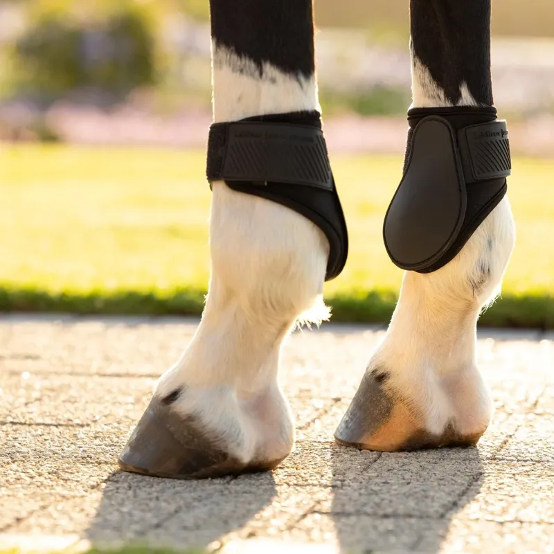 LeMieux Arika Fetlock Boots - Black-2