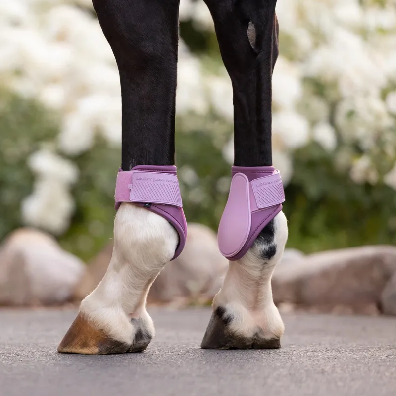 LeMieux Arika Fetlock Boots - Fondant-2