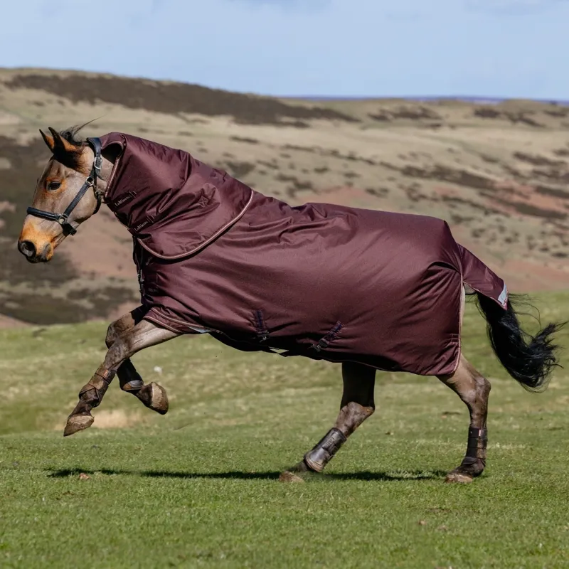 LeMieux Arika Ripstop 0g Detachable Neck Turnout Rug - Bramble-3