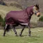 LeMieux Arika Ripstop 0g Detachable Neck Turnout Rug - Bramble