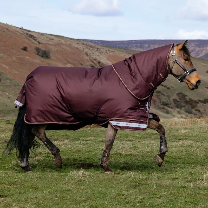 LeMieux Arika Ripstop 0g Detachable Neck Turnout Rug - Bramble-2