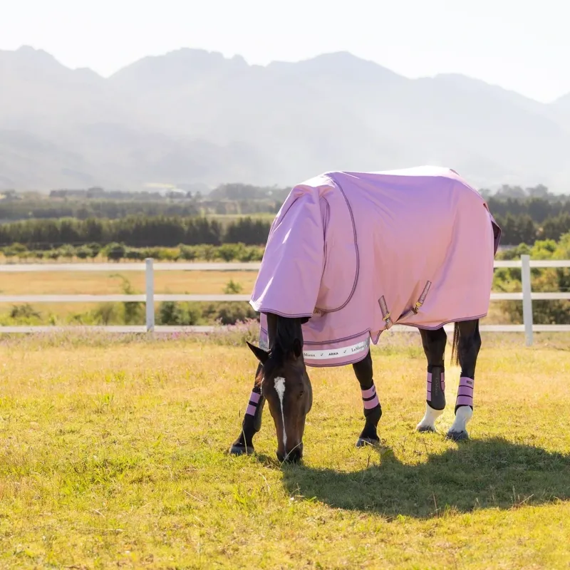 LeMieux Arika Ripstop 600D 50g Detachable Neck Turnout Rug - Fondant-3