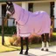 LeMieux Arika Ripstop 600D 0g Detachable Neck Turnout Rug - Fondant