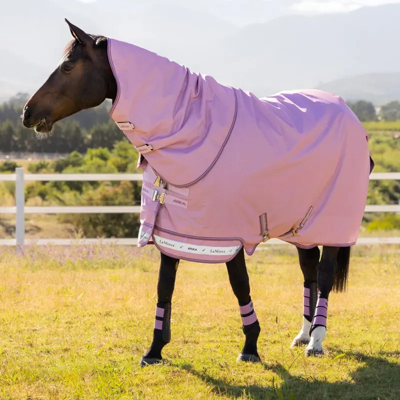 LeMieux Arika Ripstop 600D 0g Detachable Neck Turnout Rug - Fondant-4