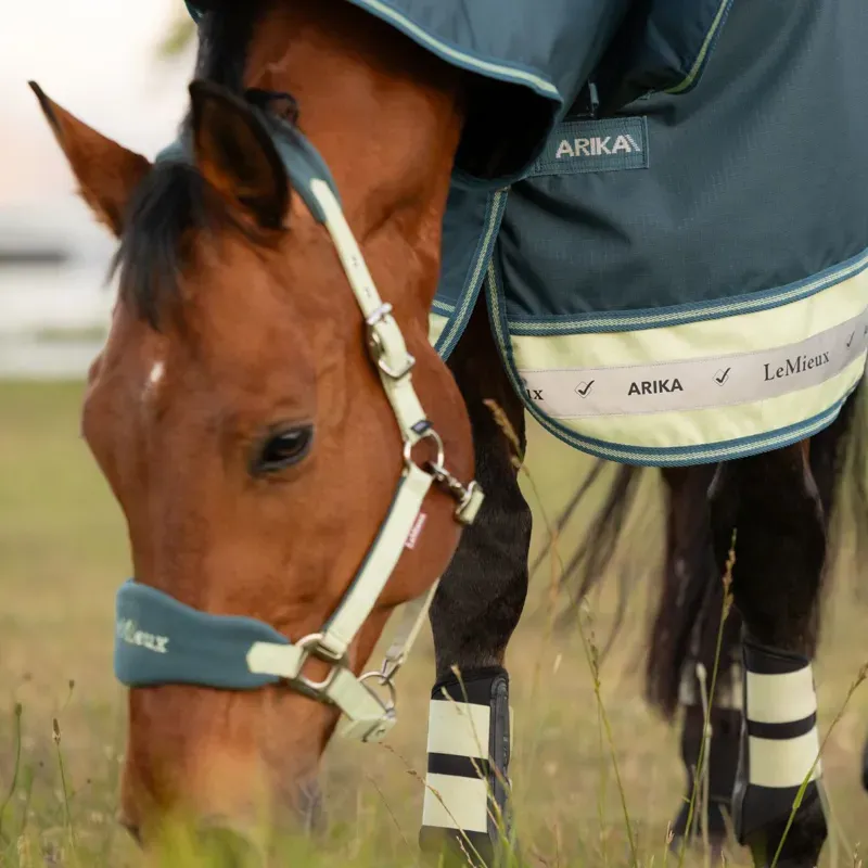 LeMieux Arika Ripstop 600D 0g Detachable Neck Turnout Rug - Jungle-3