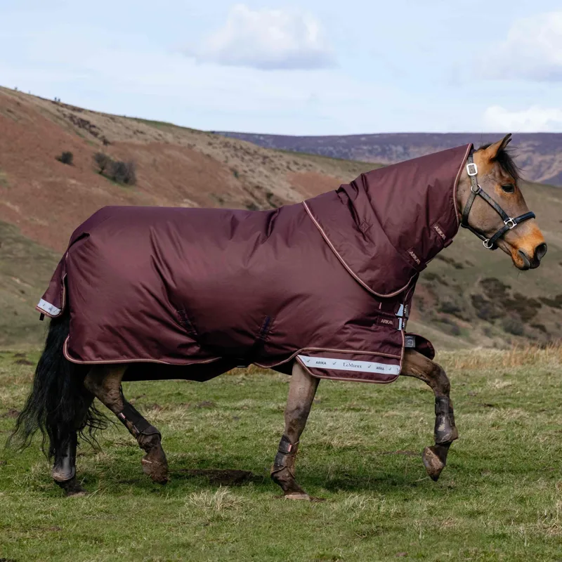 LeMieux Arika Ripstop 600D 100g Detachable Neck Turnout Rug - Bramble-1