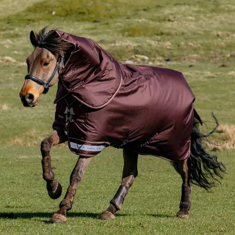 LeMieux Arika Ripstop 600D 100g Detachable Neck Turnout Rug - Bramble