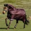 LeMieux Arika Ripstop 600D 100g Detachable Neck Turnout Rug - Bramble